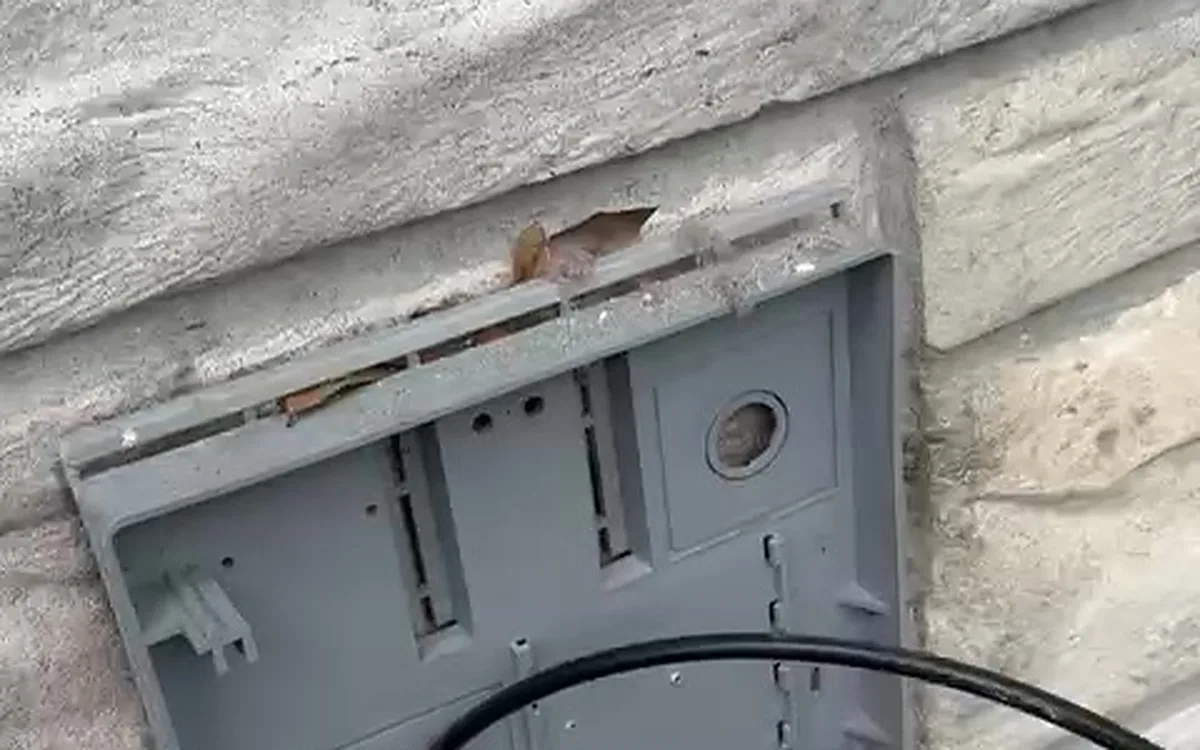What affects the cost of dryer vent cleaning in Florida?